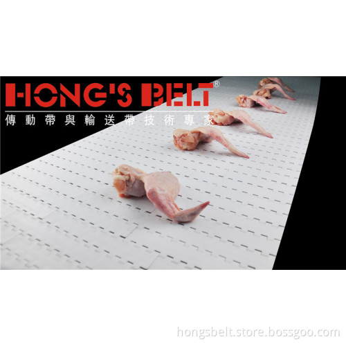 The Poultry Industry Modular Conveyor Belt